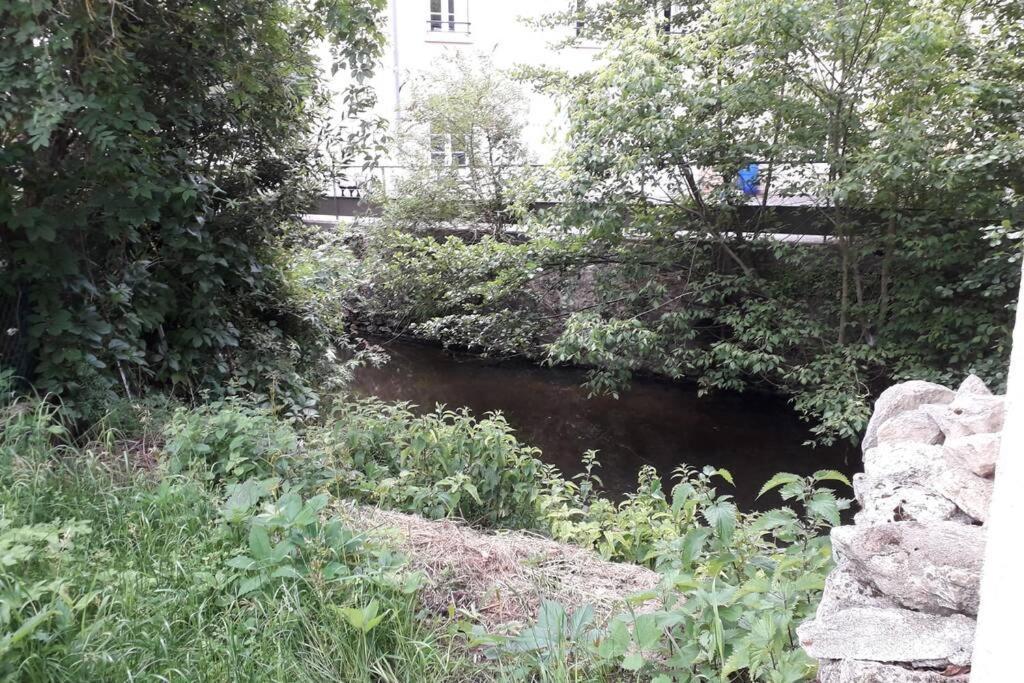 Loft Haut De Gamme Centre Montargis, Place De Parking, Local A Velos, Linge De Lits Et Serviettes, Coin Riviere Amenage, Hamac, Epicerie, Velos En Option, Tout Confort Jusqu'A 4 Voyageurs Exteriör bild