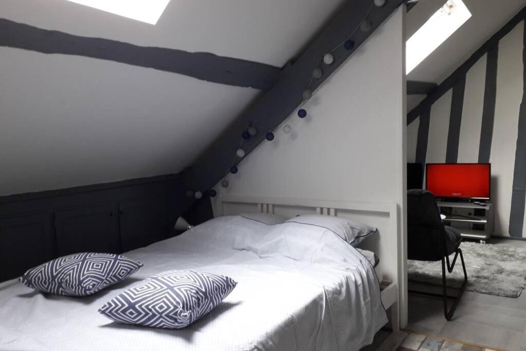 Loft Haut De Gamme Centre Montargis, Place De Parking, Local A Velos, Linge De Lits Et Serviettes, Coin Riviere Amenage, Hamac, Epicerie, Velos En Option, Tout Confort Jusqu'A 4 Voyageurs Exteriör bild
