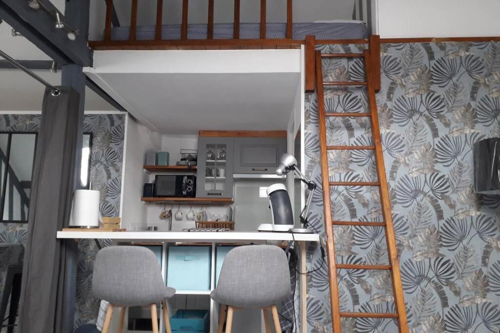 Loft Haut De Gamme Centre Montargis, Place De Parking, Local A Velos, Linge De Lits Et Serviettes, Coin Riviere Amenage, Hamac, Epicerie, Velos En Option, Tout Confort Jusqu'A 4 Voyageurs Exteriör bild