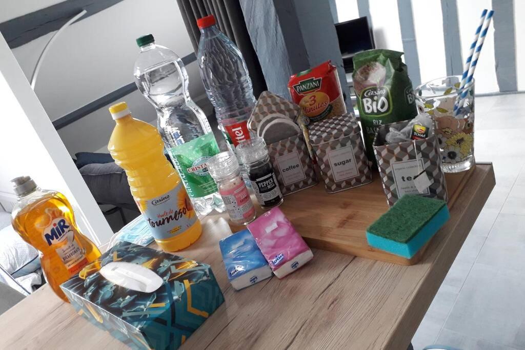 Loft Haut De Gamme Centre Montargis, Place De Parking, Local A Velos, Linge De Lits Et Serviettes, Coin Riviere Amenage, Hamac, Epicerie, Velos En Option, Tout Confort Jusqu'A 4 Voyageurs Exteriör bild