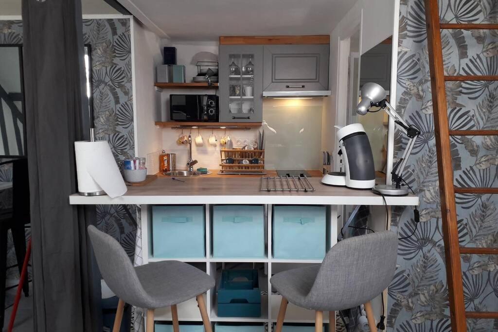 Loft Haut De Gamme Centre Montargis, Place De Parking, Local A Velos, Linge De Lits Et Serviettes, Coin Riviere Amenage, Hamac, Epicerie, Velos En Option, Tout Confort Jusqu'A 4 Voyageurs Exteriör bild