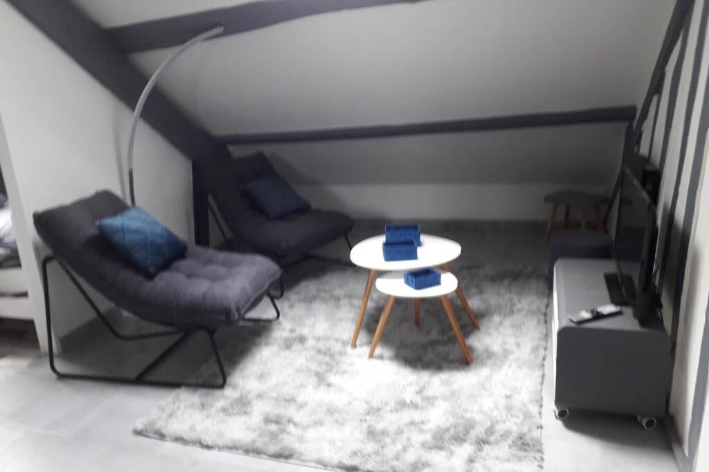 Loft Haut De Gamme Montargis Centre 1 A 4 Personnes Climatisation, Parking, Linge, Wifi, Hamac, Garage A Velos, Velos En Option Exteriör bild