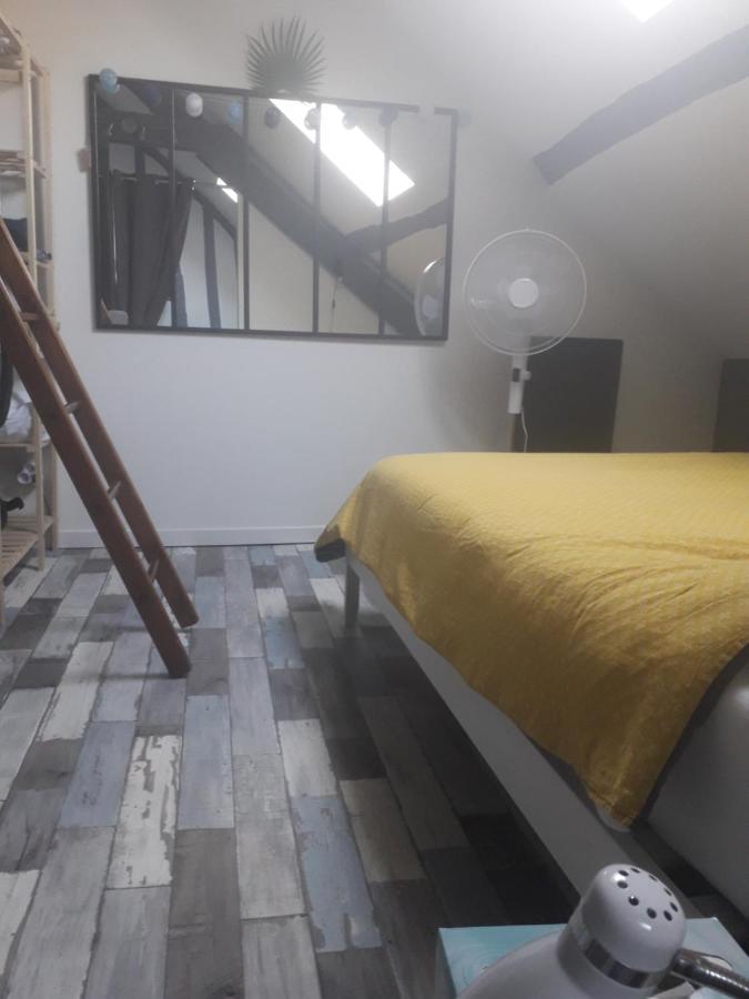 Loft Haut De Gamme Montargis Centre 1 A 4 Personnes Climatisation, Parking, Linge, Wifi, Hamac, Garage A Velos, Velos En Option Exteriör bild