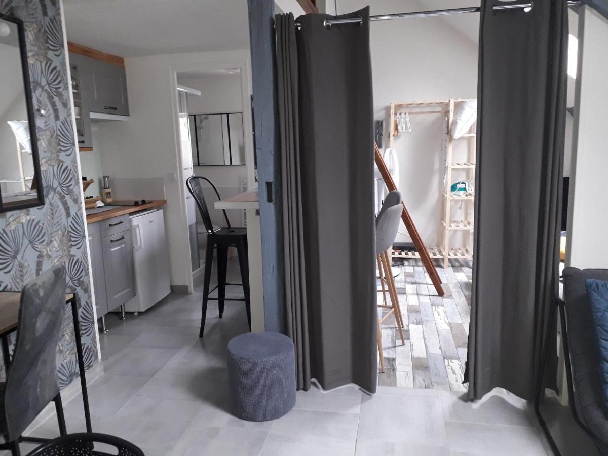 Loft Haut De Gamme Centre Montargis, Place De Parking, Local A Velos, Linge De Lits Et Serviettes, Coin Riviere Amenage, Hamac, Epicerie, Velos En Option, Tout Confort Jusqu'A 4 Voyageurs Exteriör bild