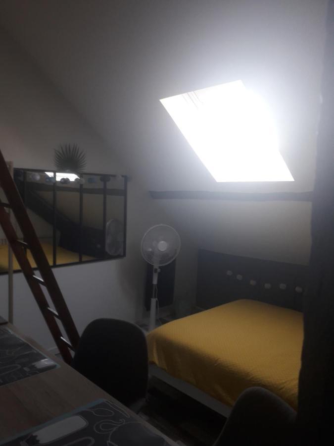 Loft Haut De Gamme Centre Montargis, Place De Parking, Local A Velos, Linge De Lits Et Serviettes, Coin Riviere Amenage, Hamac, Epicerie, Velos En Option, Tout Confort Jusqu'A 4 Voyageurs Exteriör bild