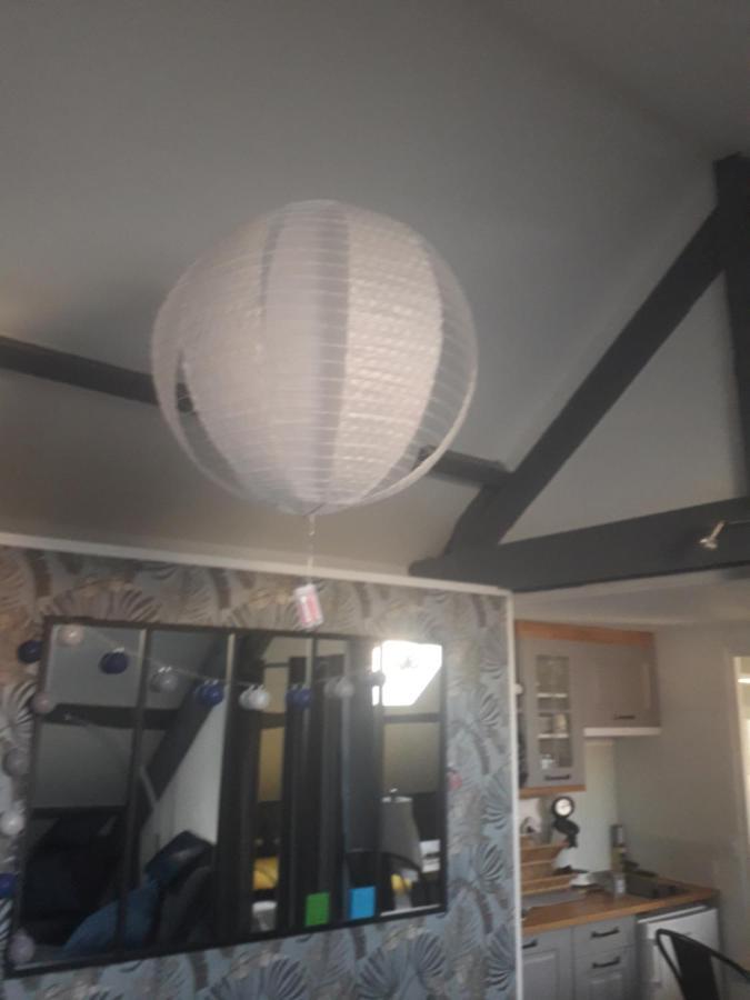 Loft Haut De Gamme Centre Montargis, Place De Parking, Local A Velos, Linge De Lits Et Serviettes, Coin Riviere Amenage, Hamac, Epicerie, Velos En Option, Tout Confort Jusqu'A 4 Voyageurs Exteriör bild