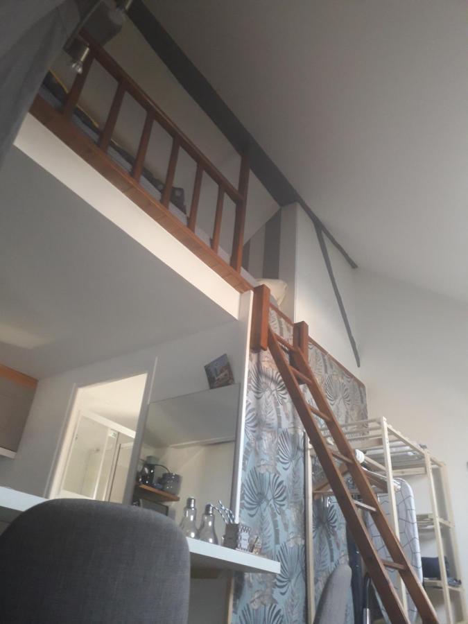 Loft Haut De Gamme Centre Montargis, Place De Parking, Local A Velos, Linge De Lits Et Serviettes, Coin Riviere Amenage, Hamac, Epicerie, Velos En Option, Tout Confort Jusqu'A 4 Voyageurs Exteriör bild