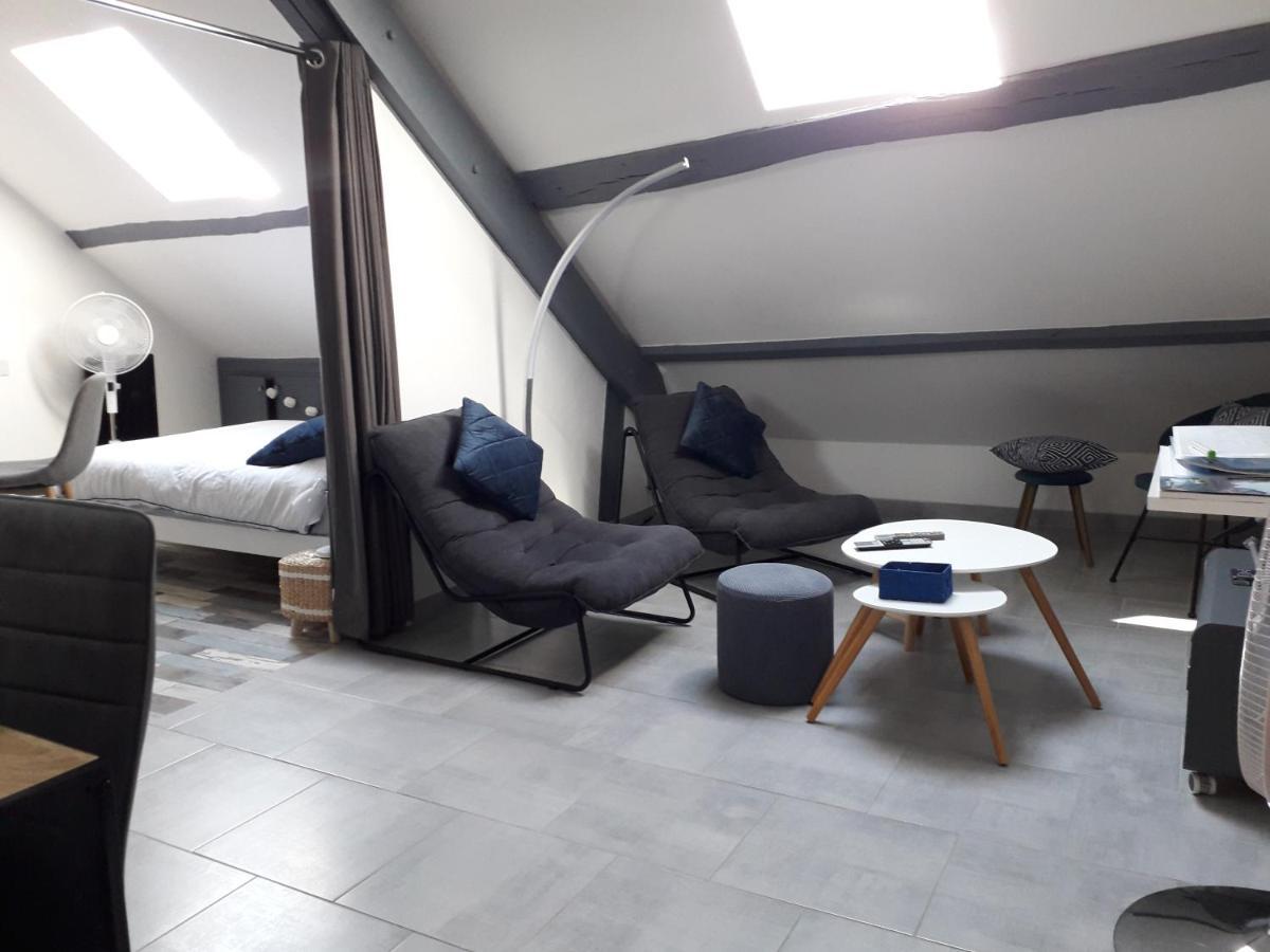 Loft Haut De Gamme Montargis Centre 1 A 4 Personnes Climatisation, Parking, Linge, Wifi, Hamac, Garage A Velos, Velos En Option Exteriör bild