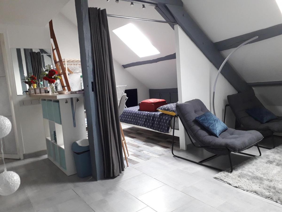 Loft Haut De Gamme Montargis Centre 1 A 4 Personnes Climatisation, Parking, Linge, Wifi, Hamac, Garage A Velos, Velos En Option Exteriör bild